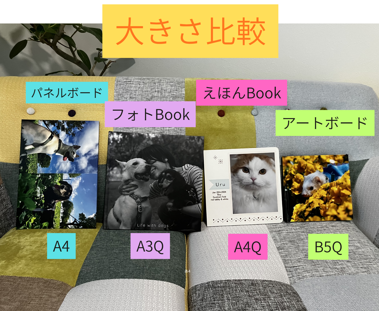 サイズ比較